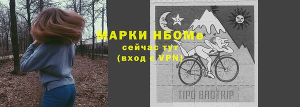 прущие крисы Бородино