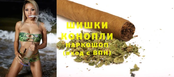 прущие крисы Бородино