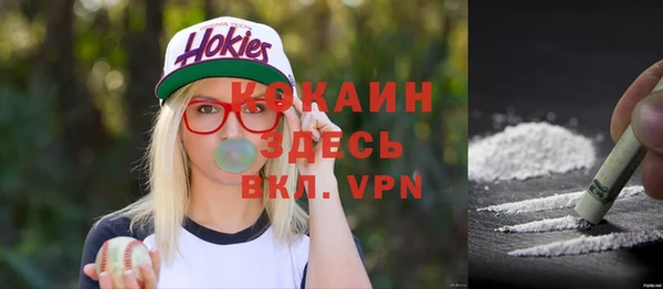 прущие крисы Бородино