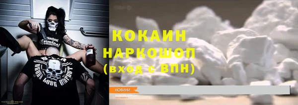 прущие крисы Бородино