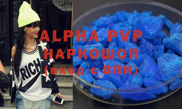 прущие крисы Бородино