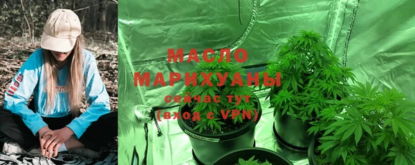 прущие крисы Бородино